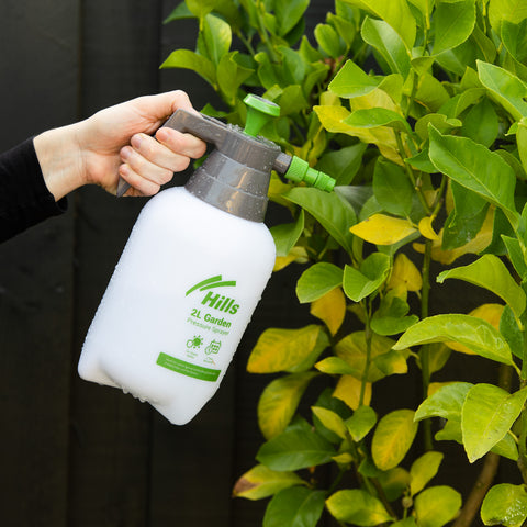 2L Garden Pressure Sprayer