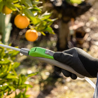 12L Knapsack Sprayer