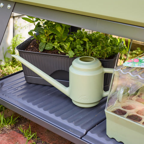 1.5L Decorative Watering Can